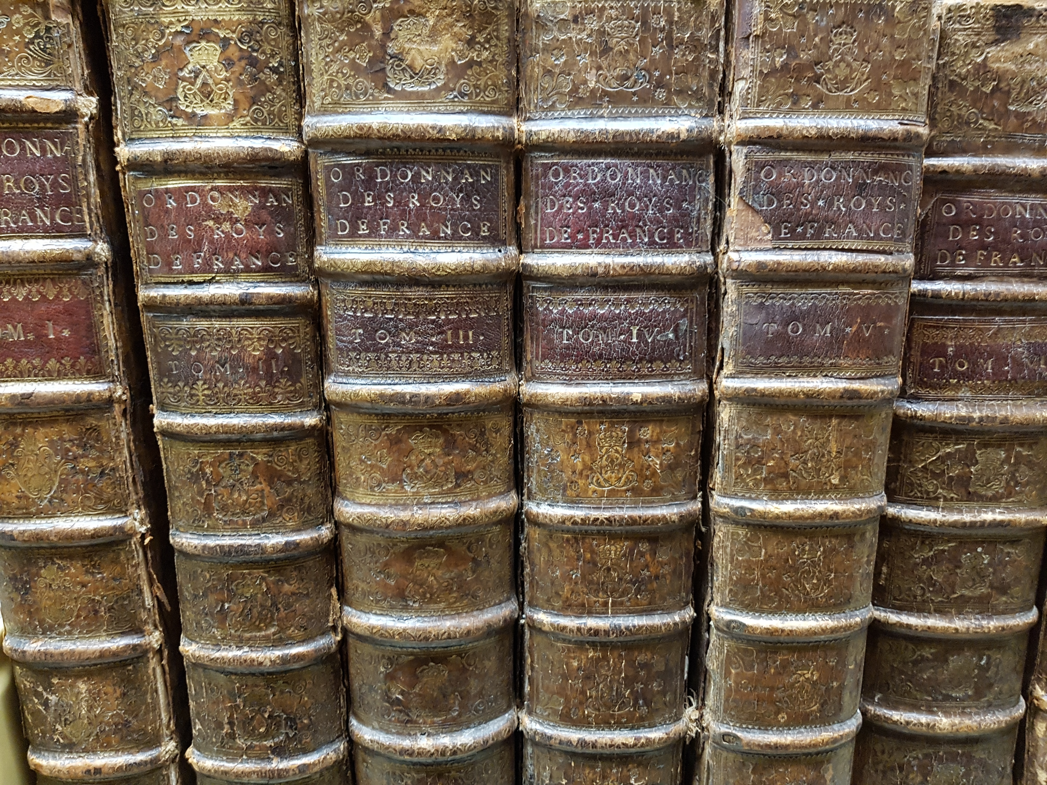 Photograph of the spines of 6 antique, leather-bound books lined up on  a shelf. 
