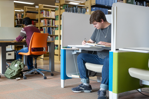 Two students studying in the individual carrels in the Murray Library North Wing 